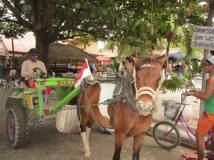 Carretto con cavallo, mezzo di trasporto a Gili Trawangan, in Indonesia